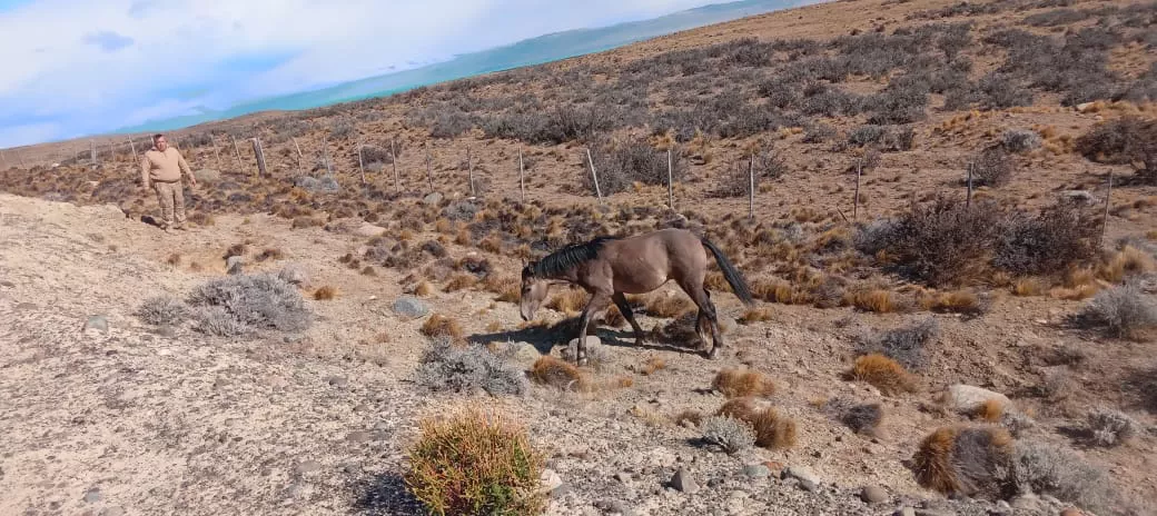 WhatsApp Image 2023-01-24 at 23.06.48