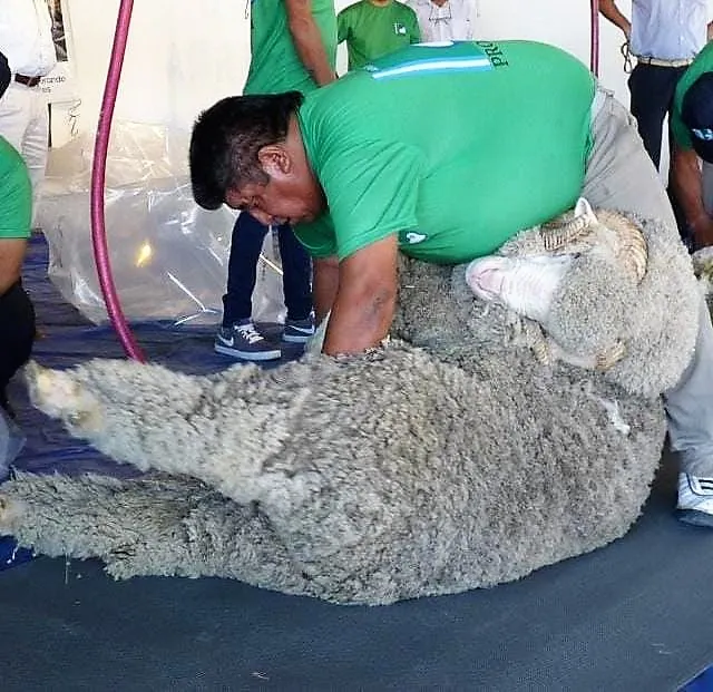 354256121_6743961585637379_2828180501296776228_n