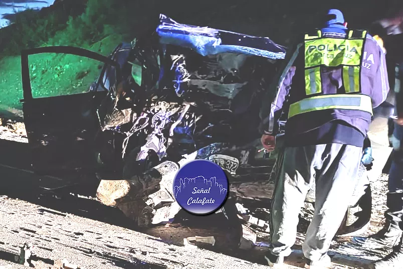 WhatsApp Image 2023-01-08 at 11.03