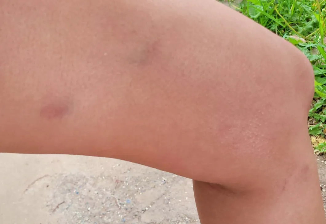 WhatsApp Image 2023-11-19 at 14.47.53