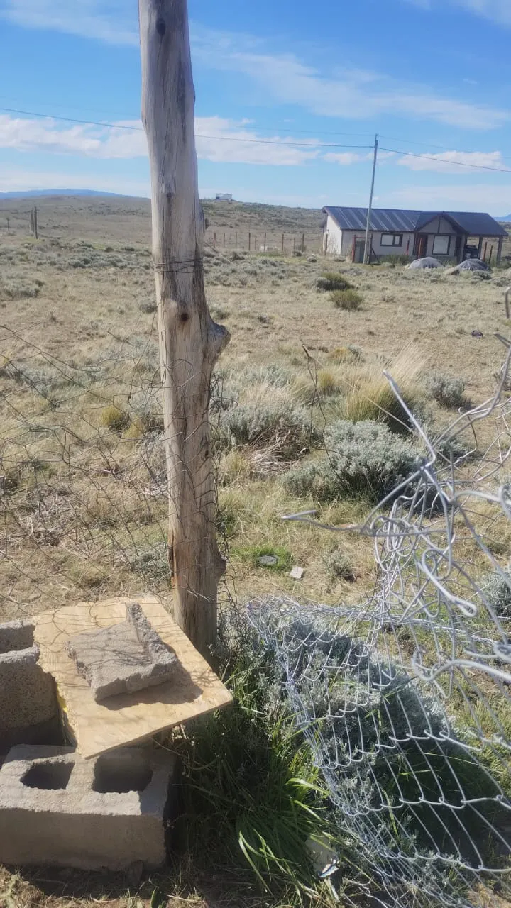 WhatsApp Image 2023-11-03 at 19.48.25