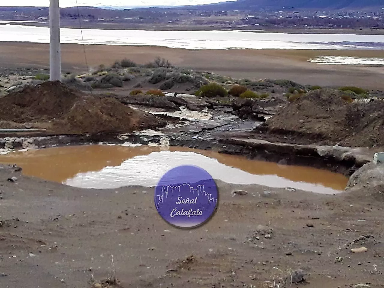 WhatsApp Image 2022-10-06 at 14.05.56~1