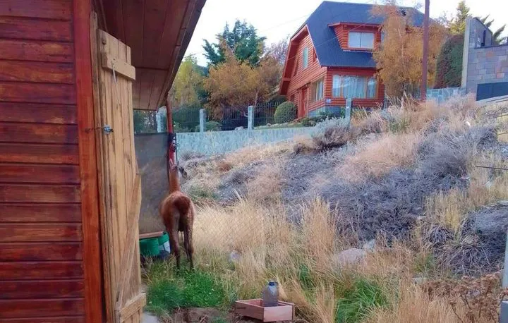 FD8B6A65-DD2D-4DE1-8B60-C1964B777D88