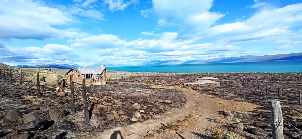 WhatsApp Image 2022-12-18 at 09.54.06 (1)