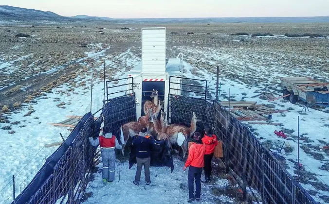 Captura de Pantalla 2023-07-05 a la(s) 19.18.28