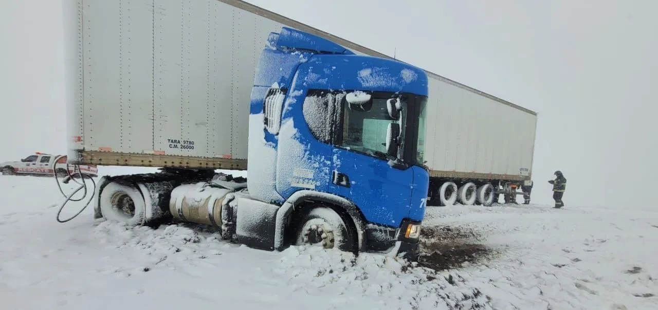 WhatsApp Image 2023-06-08 at 16.06.22 (1)