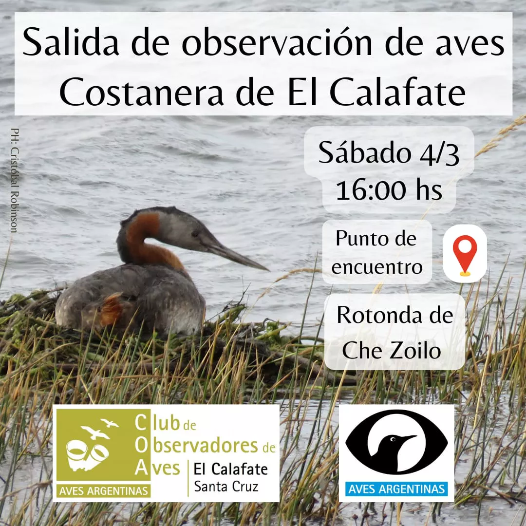 WhatsApp Image 2023-03-03 at 20.36.26