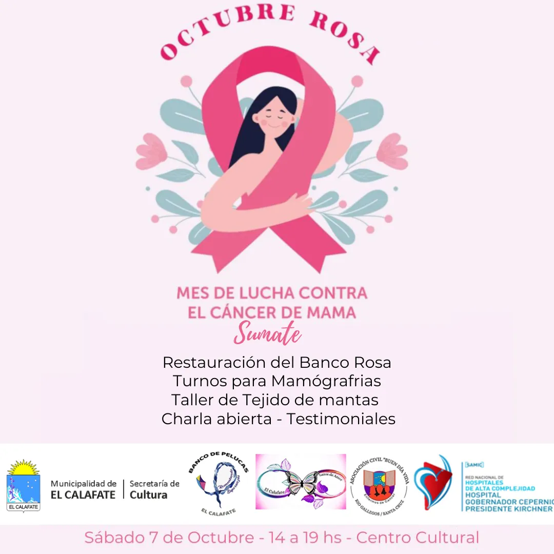 Grafica Feed Horizontal