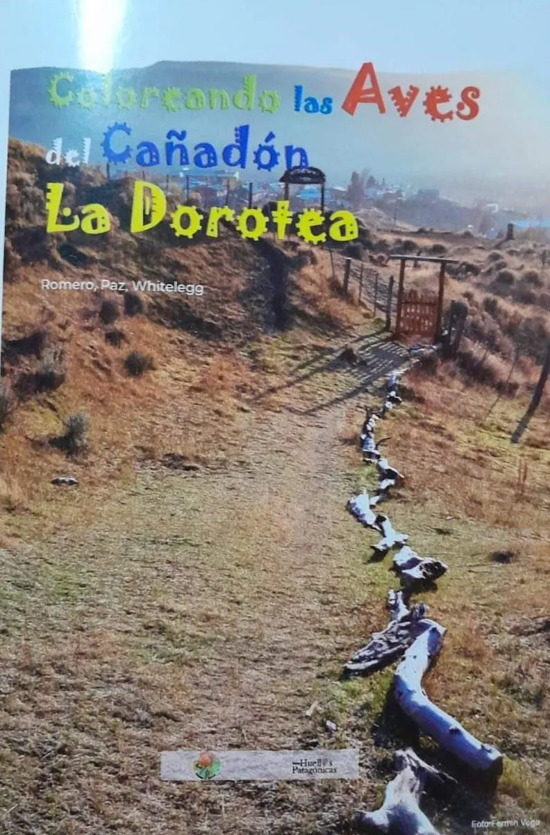 346848583_941538977090500_2055862243508284591_n