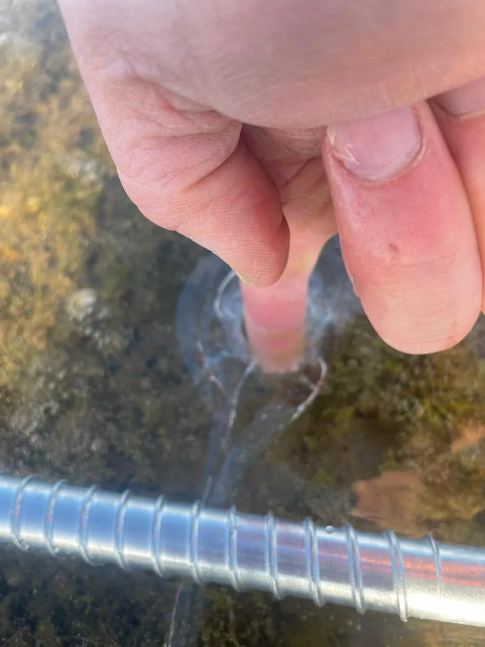 WhatsApp Image 2023-07-07 at 13.33.05