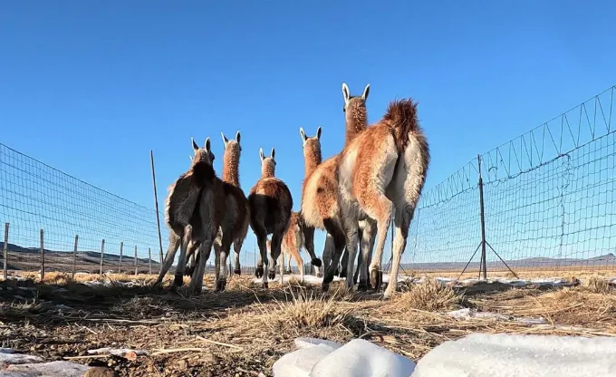 Captura de Pantalla 2023-07-05 a la(s) 19.33.17