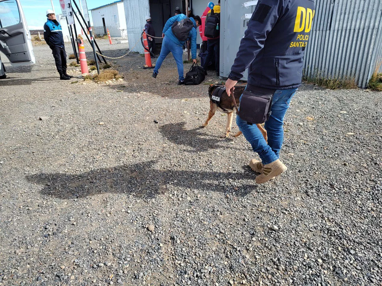 WhatsApp Image 2023-03-09 at 20.23.55 (1)