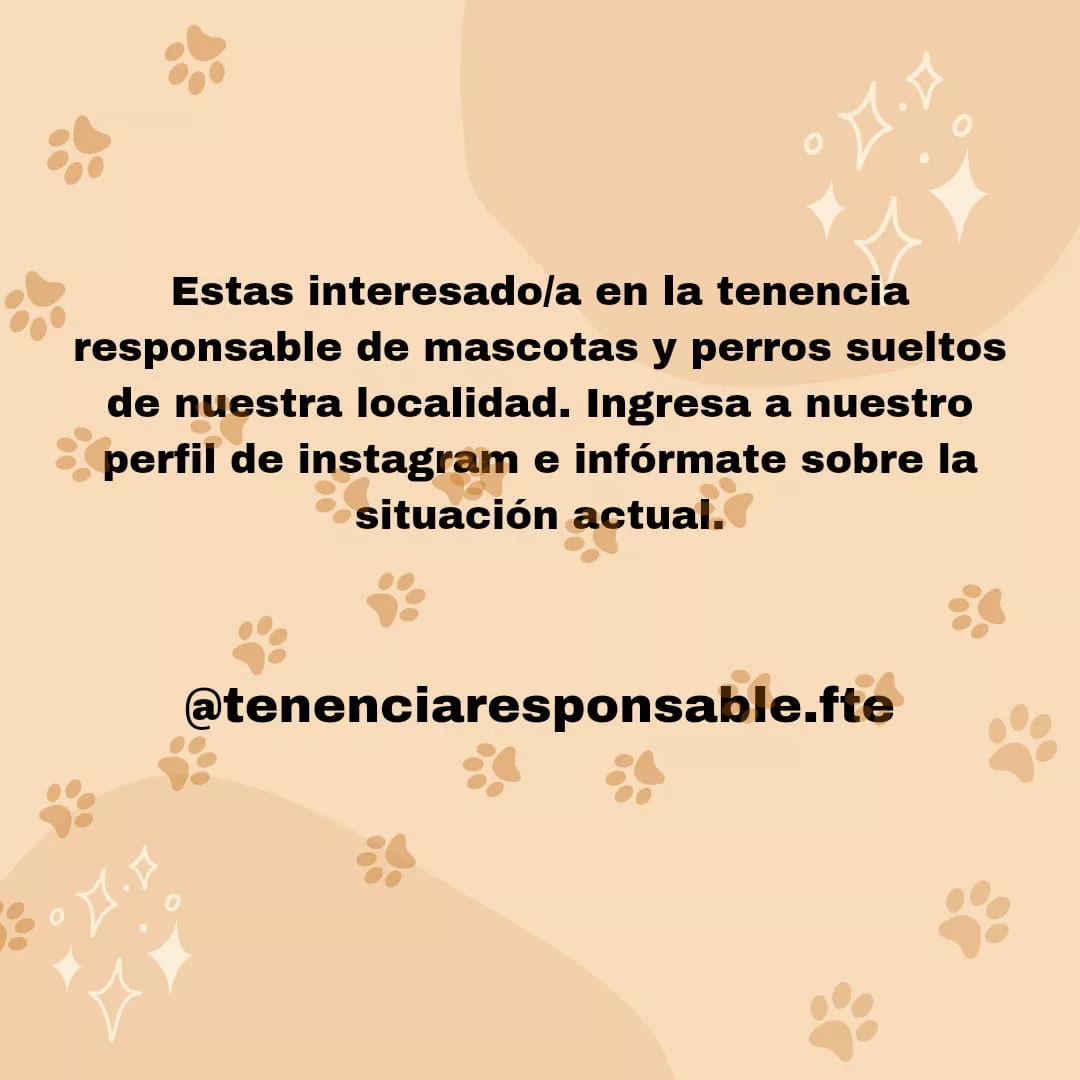 WhatsApp Image 2022-11-17 at 11.08.51 AM