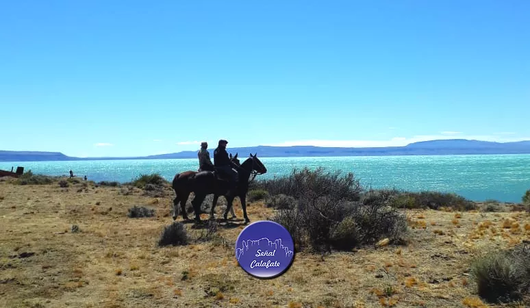 WhatsApp Image 2023-01-29 at 01.52