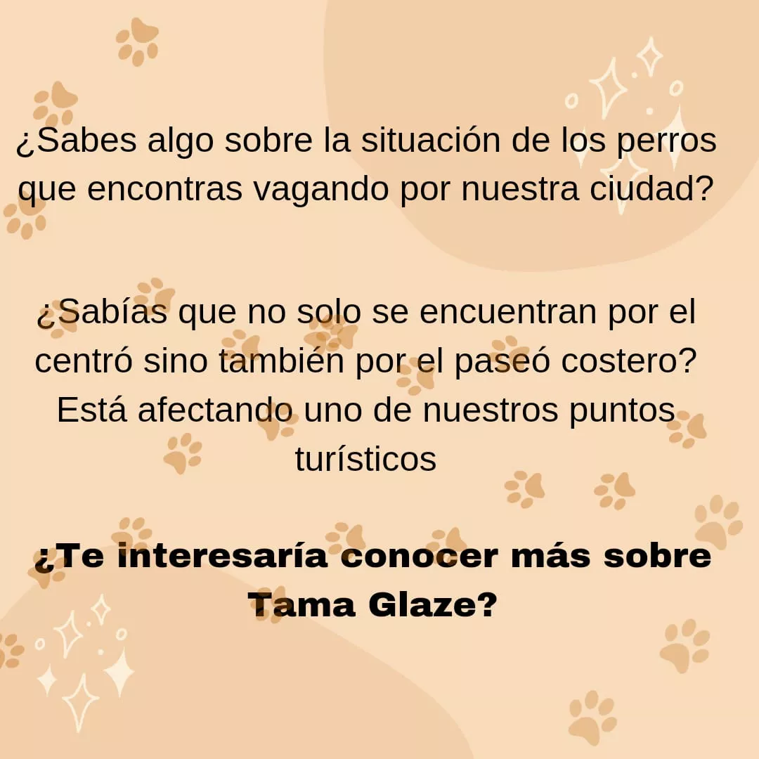 WhatsApp Image 2022-11-17 at 11.08.50 AM