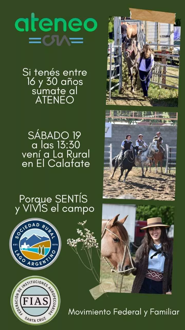 PHOTO-2022-11-16-17-56-54