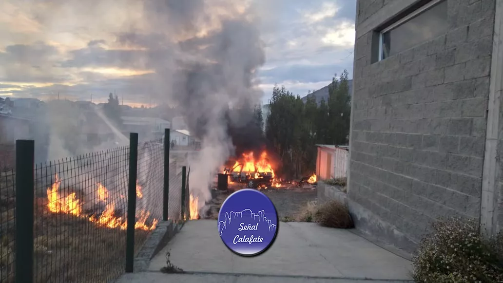 WhatsApp Image 2023-02-20 at 07.43