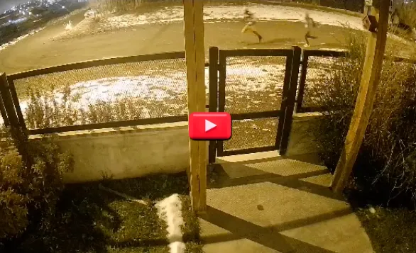 Captura de Pantalla 2023-07-01 a la(s) 19.28.28