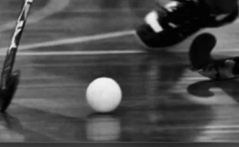 hock