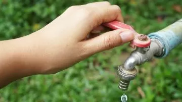 falta de agua