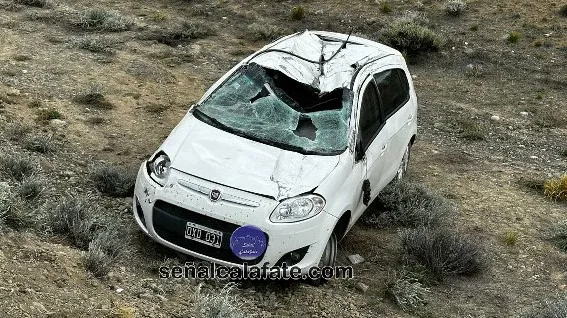 WhatsApp Image 2023-11-23 at 11.31.21