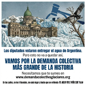 demanda colectiva ley de glaciares2
