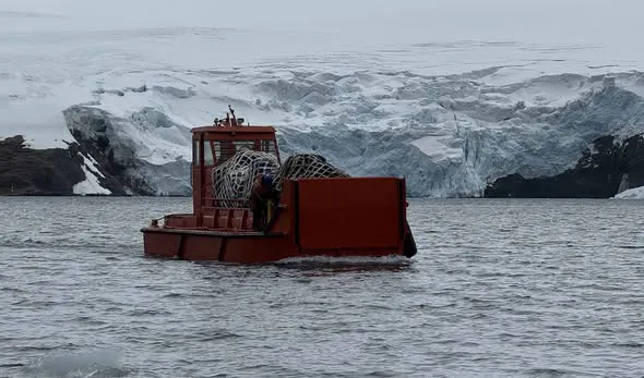 campaña antartica 25 26