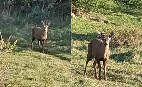 Captura de Pantalla 2025-11-01 a la(s) 21.02.17