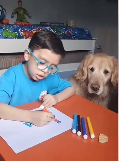 bases concurso bandera psc