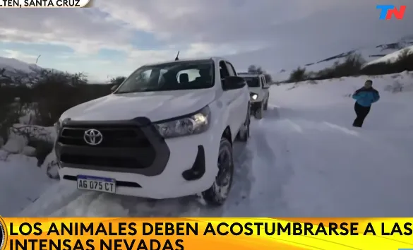 Captura de Pantalla 2024-07-07 a la(s) 15.42.36