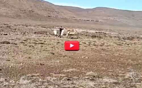 Captura de Pantalla 2023-09-02 a la(s) 23.41.51