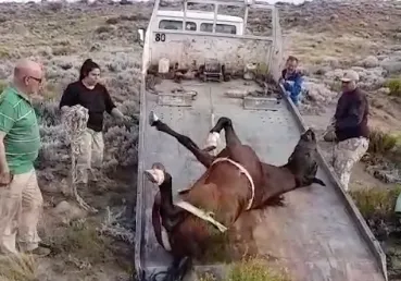 Captura de Pantalla 2024-11-29 a la(s) 13.23.37