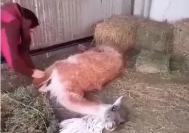 Captura de Pantalla 2023-09-08 a la(s) 08.52.35