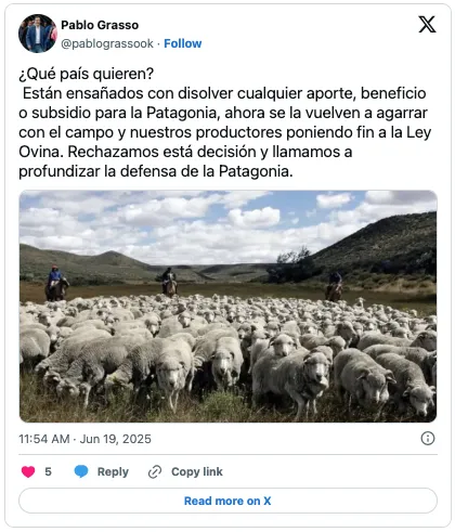 Captura de Pantalla 2025-06-19 a la(s) 13.52.25