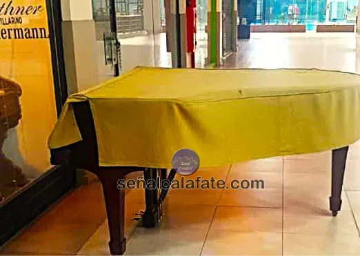 WhatsApp Image 2025-04-22 at 15.19