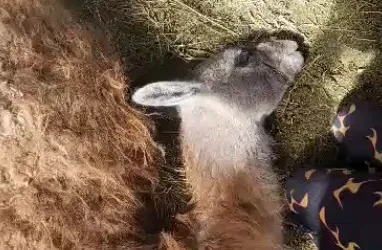 Captura de Pantalla 2023-09-08 a la(s) 22.20.40