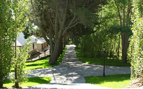 Paseo del bosque