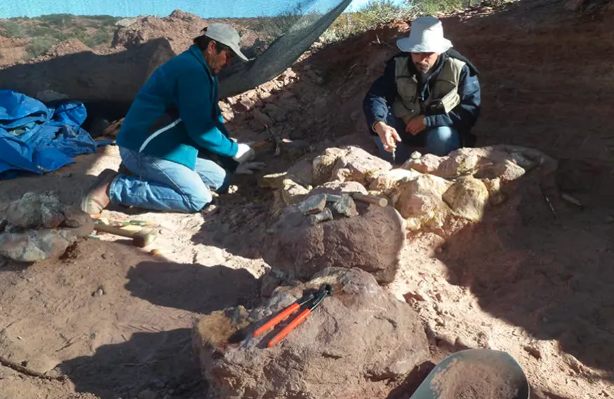 Captura de Pantalla 2026-01-14 a la(s) 09.36.33