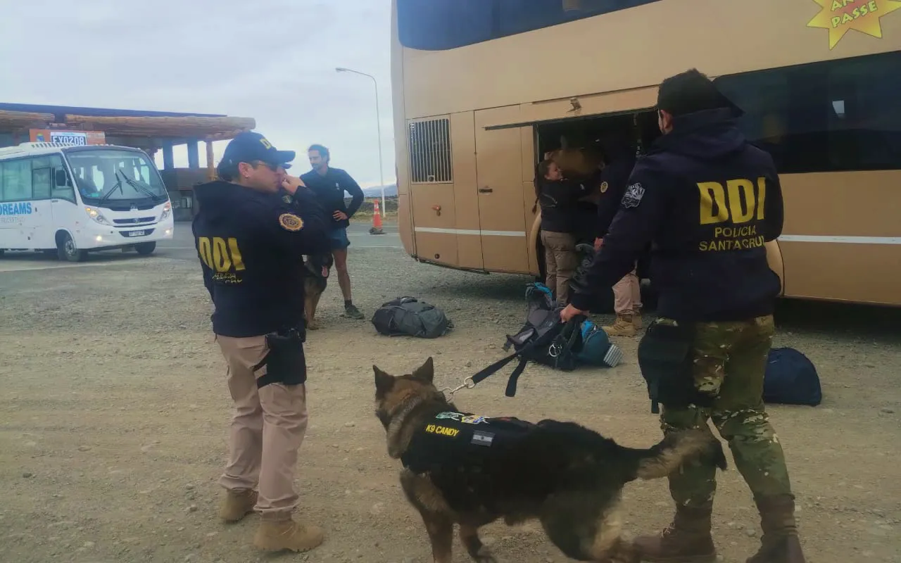 WhatsApp Image 2023-12-30 at 14.56.55