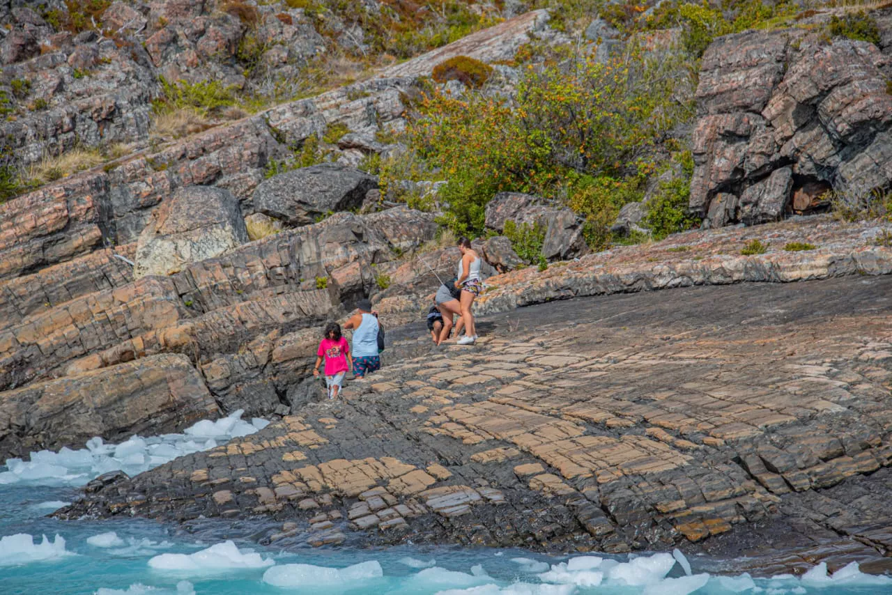 WhatsApp Image 2023-01-29 at 19.47.51