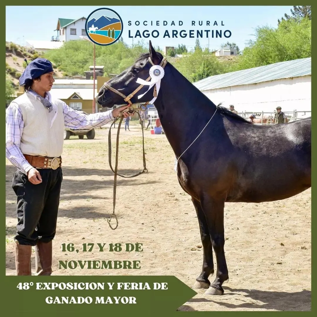 multimedia.normal.baae8c3eeec902f2.NDQ2NDZDOUMtMTVDMC00MjY0LTgxMkYtMzA2ODNCNjNfbm9ybWFsLndlYnA=