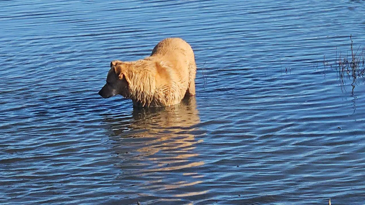 WhatsApp Image 2023-05-07 at 15.29.59