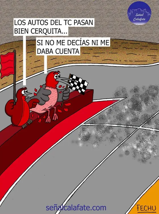 WhatsApp Image 2026-02-14 at 11.47.51 AM