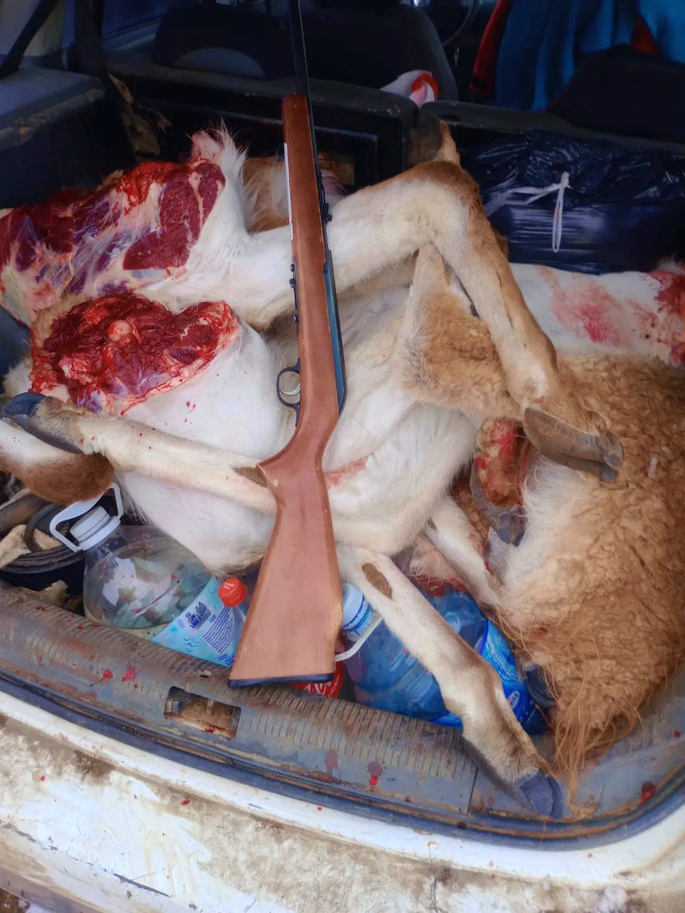 WhatsApp Image 2024-05-31 at 19.35.18