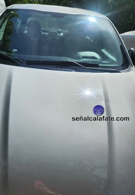 WhatsApp Image 2023-11-29 at 10.50.10