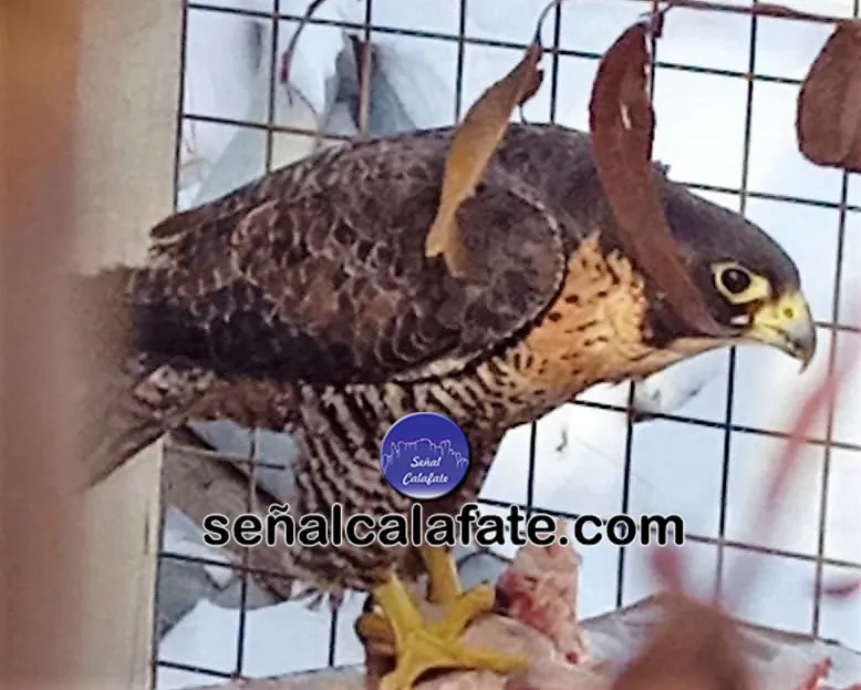 WhatsApp Image 2023-07-25 at 13.37