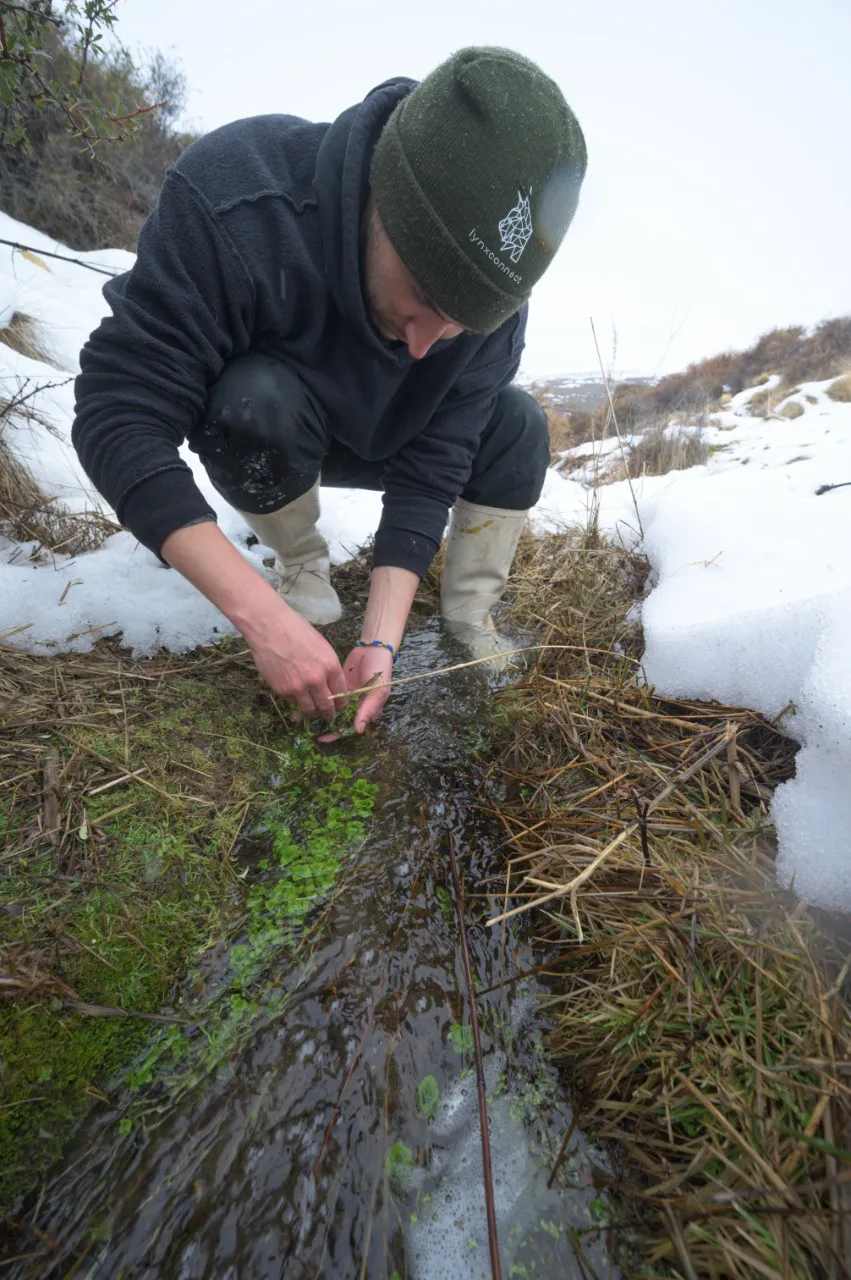 97781c31-e824-44cb-8ead-ef93bc80d277