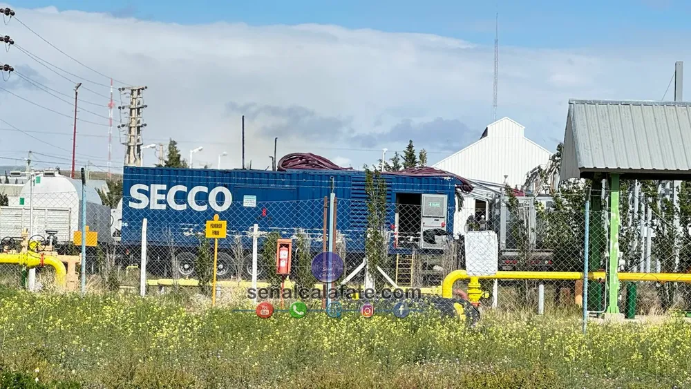 WhatsApp Image 2024-11-23 at 10.10.51 (1)