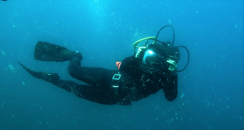 2- foto de Proyecto Arrecife