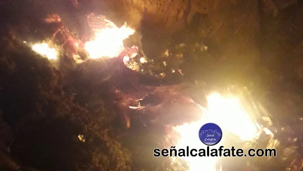 WhatsApp Image 2023-11-30 at 12.03.30